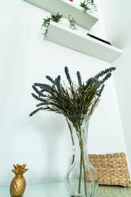 Libertad By Gades Gestion Apartment Cadiz Bagian luar foto
